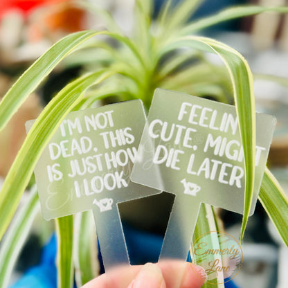 Funny Plant Sticks